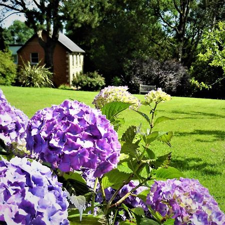 Ffynnon Fendigaid Bed And Breakfast Aberporth Exteriör bild